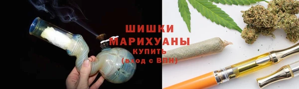 гидра Наволоки