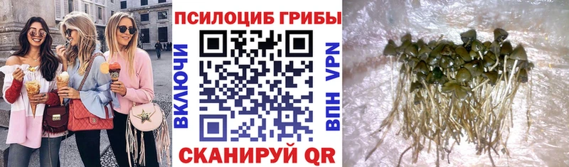 Купить  Пыть-Ях  Галлюциногенные грибы мухоморы 
